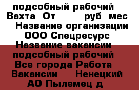 подсобный рабочий . Вахта. От 30 000 руб./мес. › Название организации ­ ООО Спецресурс › Название вакансии ­ подсобный рабочий - Все города Работа » Вакансии   . Ненецкий АО,Пылемец д.